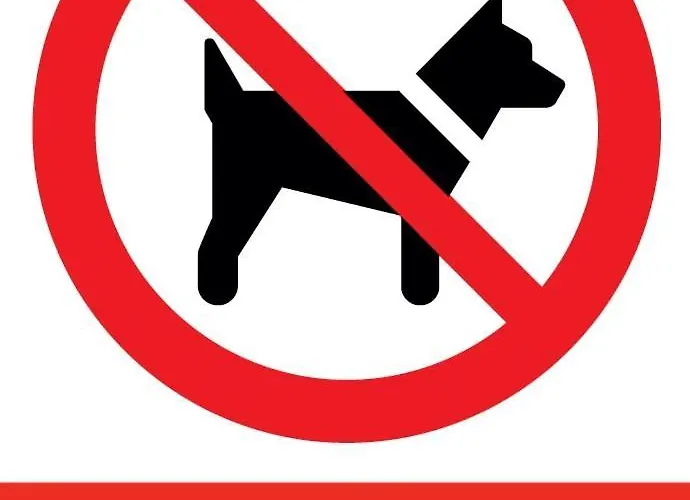 Wsrod 1000cy Swiatel - Prywatny Parking - Duzy Balkon - Piekny Widok Noca Na Panorame Tysiaclecia Appartement